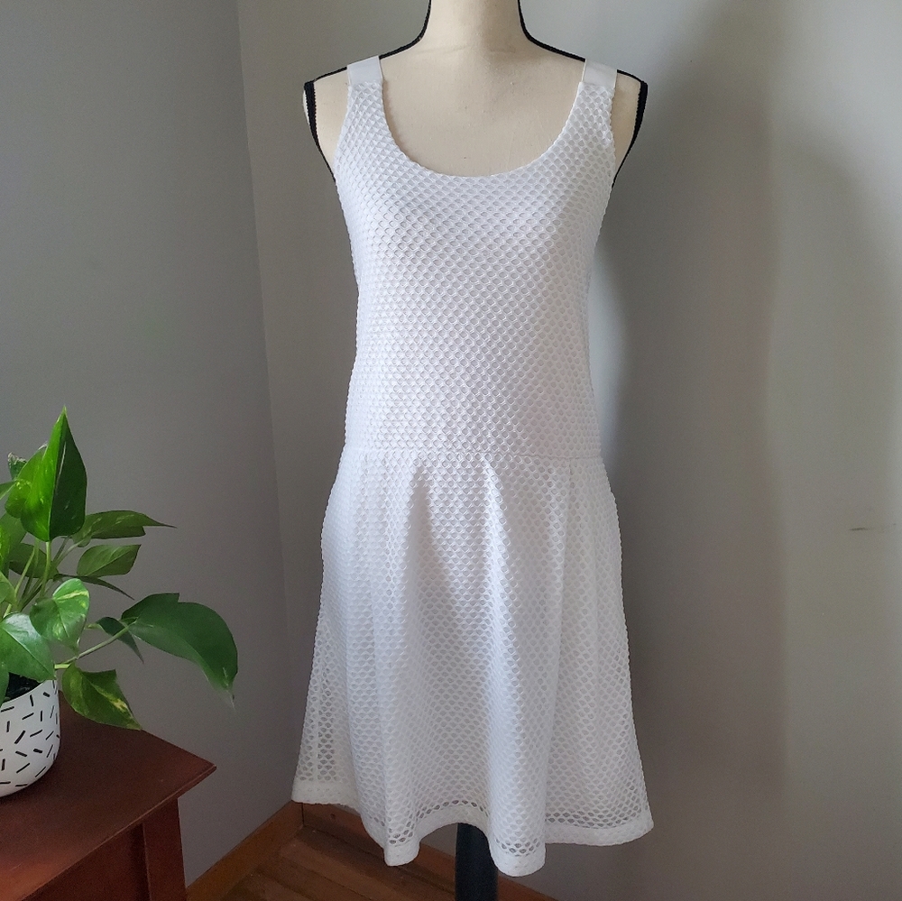 NWT Emporio Armani Spring 2016 Eyelet Dress, Size EU 40 - Picture 4 of 17